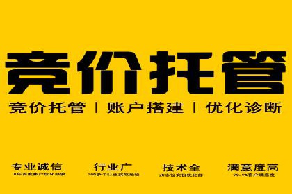 行业专家解析SEM托管代运营的成功要素